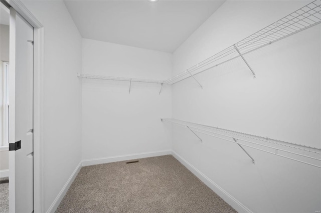 spacious closet featuring carpet flooring