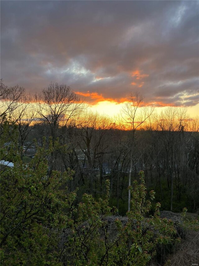 view of nature at dusk