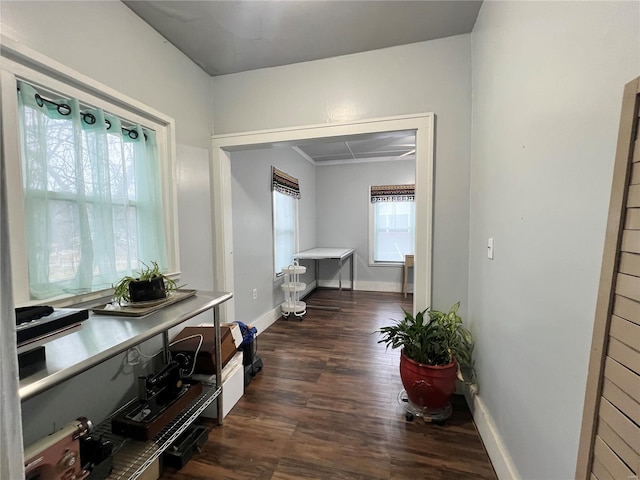 corridor featuring dark hardwood / wood-style flooring