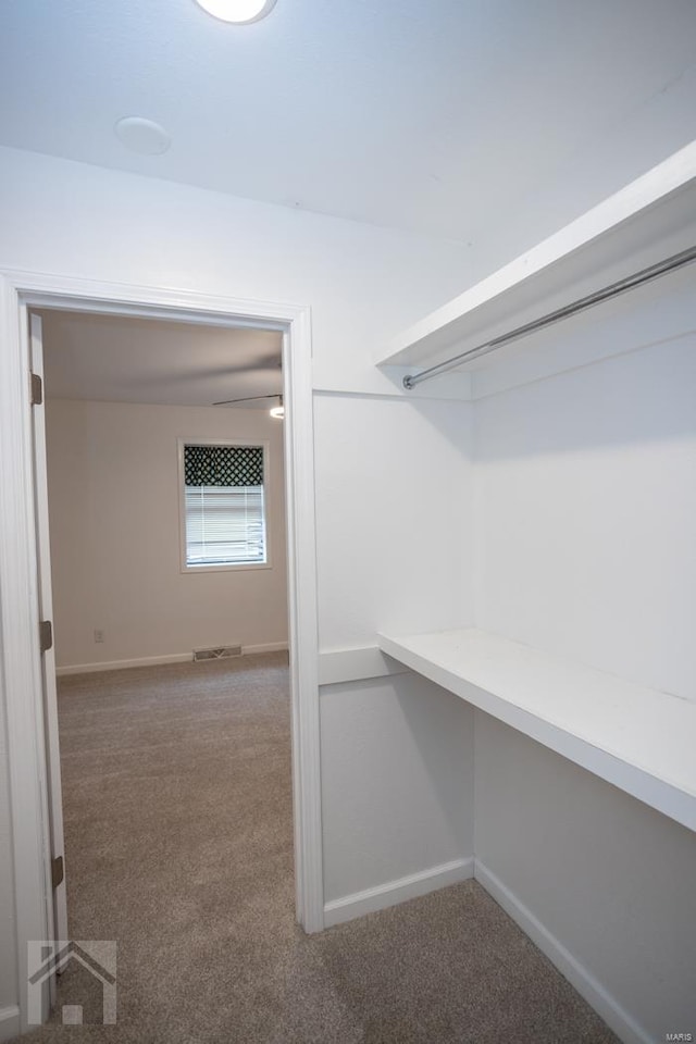 spacious closet with carpet flooring