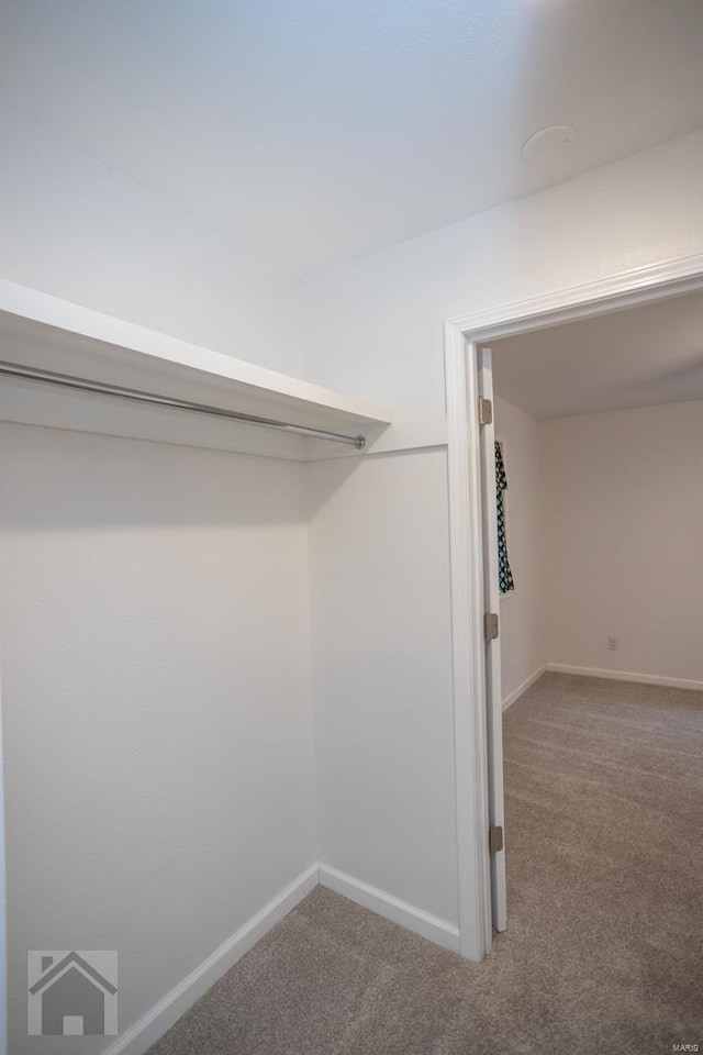 spacious closet featuring carpet floors