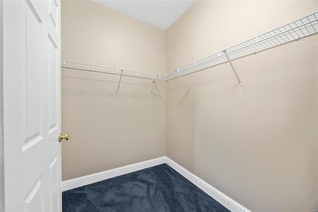 walk in closet with carpet