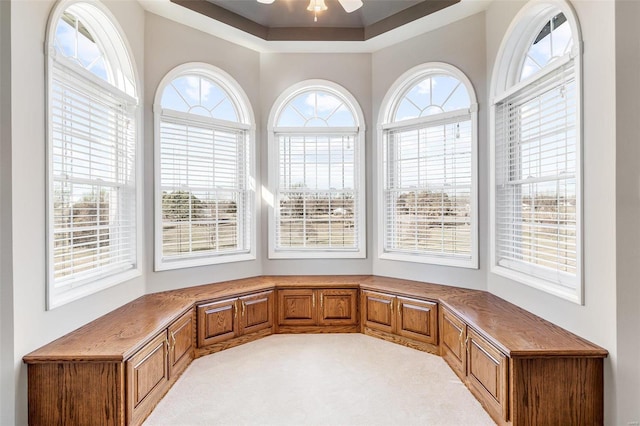 unfurnished room with light carpet, a raised ceiling, plenty of natural light, and ceiling fan