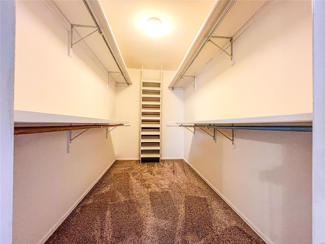 walk in closet featuring dark colored carpet