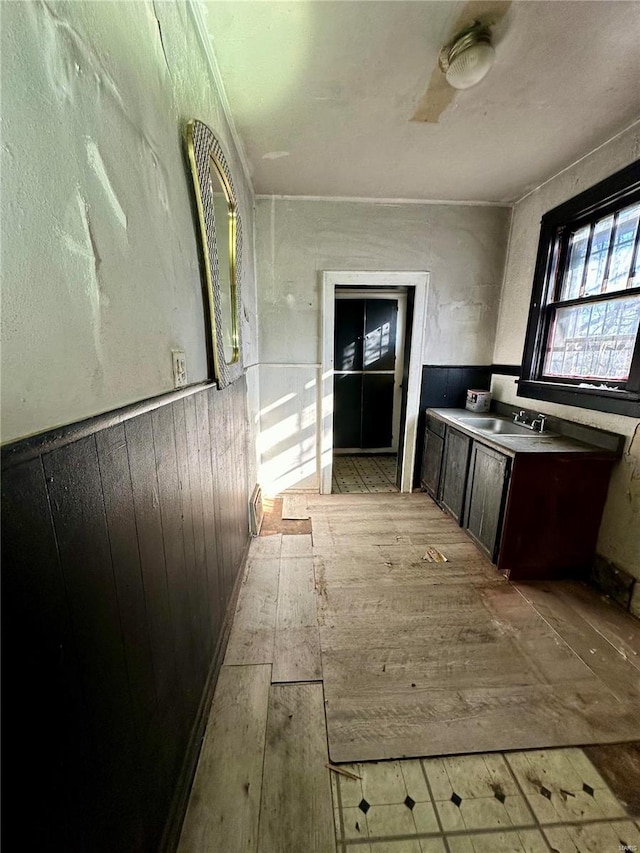 kitchen featuring light wood-type flooring, dark brown cabinetry, wooden walls, and sink