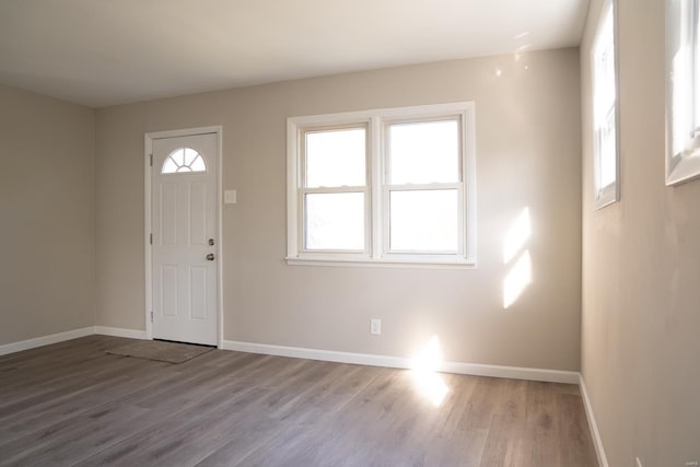 foyer entrance with wood-type flooring