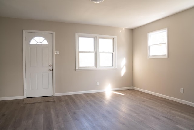 entryway with wood-type flooring and plenty of natural light