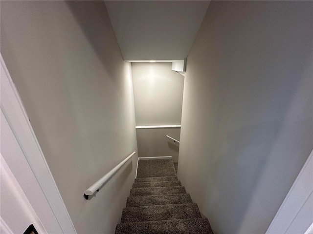 stairway featuring carpet floors