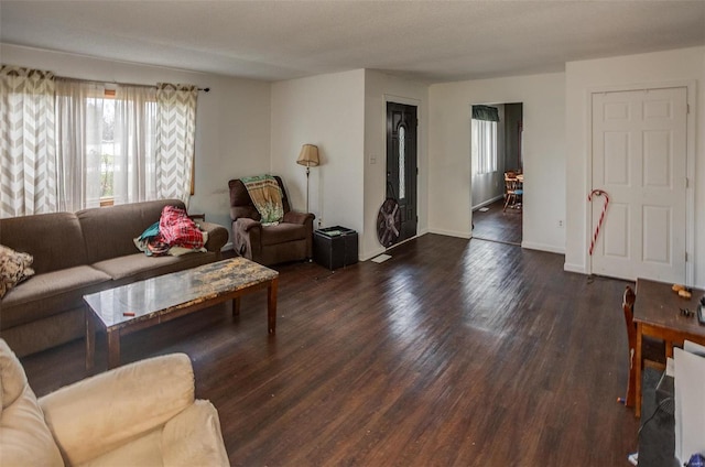 living room featuring dark wood-type flooring