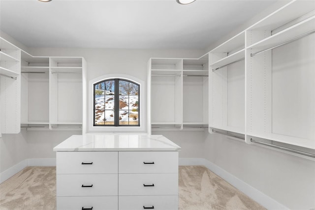 spacious closet with light colored carpet