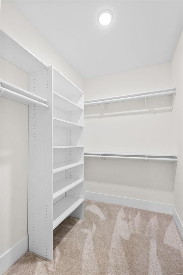 walk in closet featuring carpet flooring