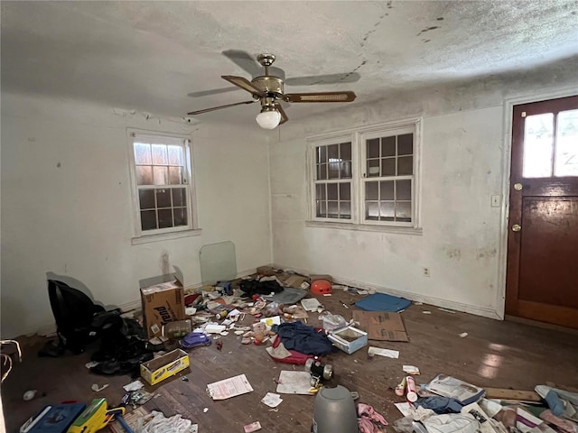 miscellaneous room featuring plenty of natural light and wood-type flooring