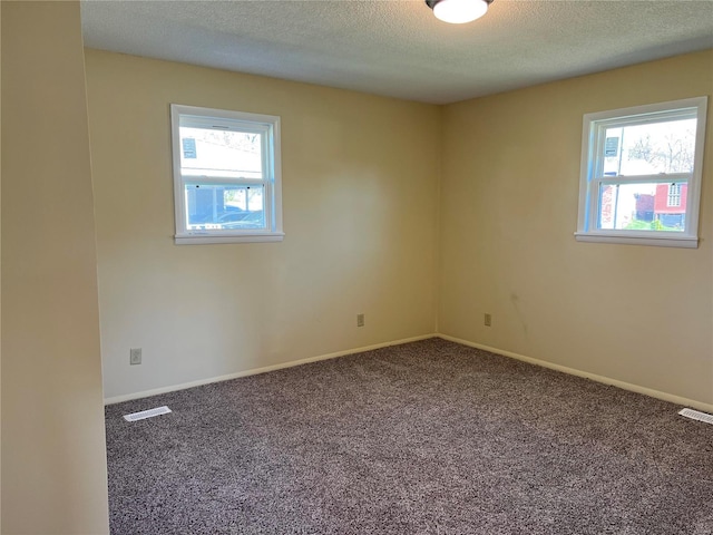 unfurnished room with a textured ceiling, carpet floors, and plenty of natural light