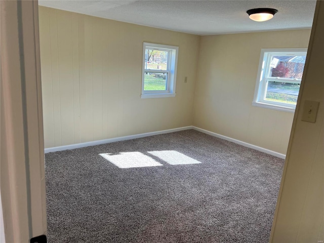 unfurnished room with carpet and a textured ceiling