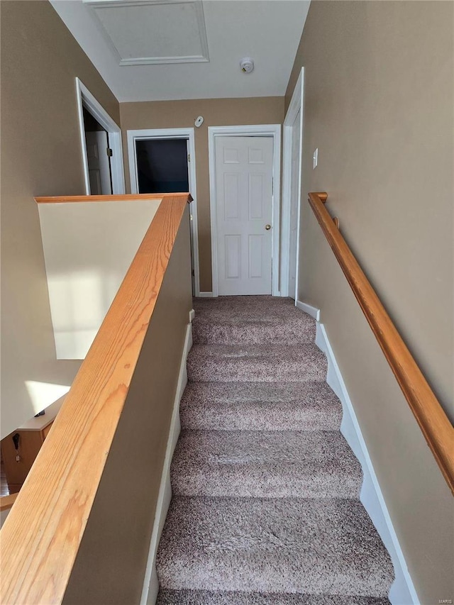 stairway featuring carpet