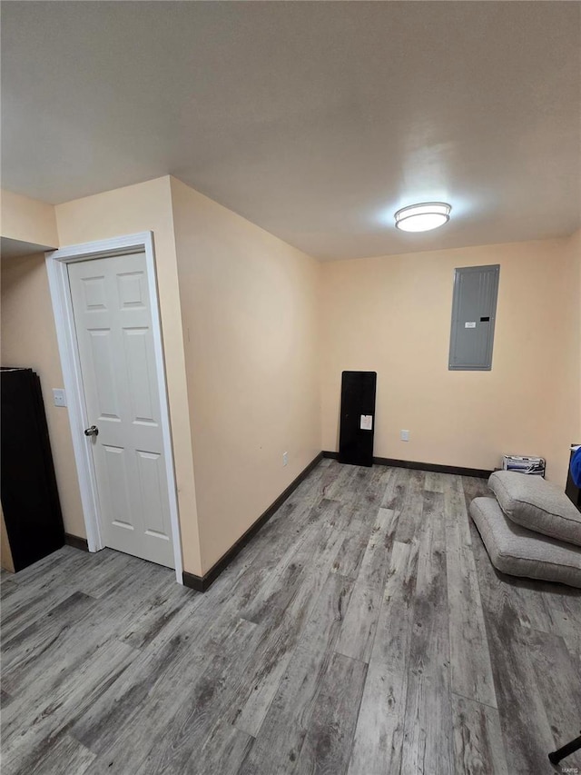 interior space featuring light wood-type flooring and electric panel