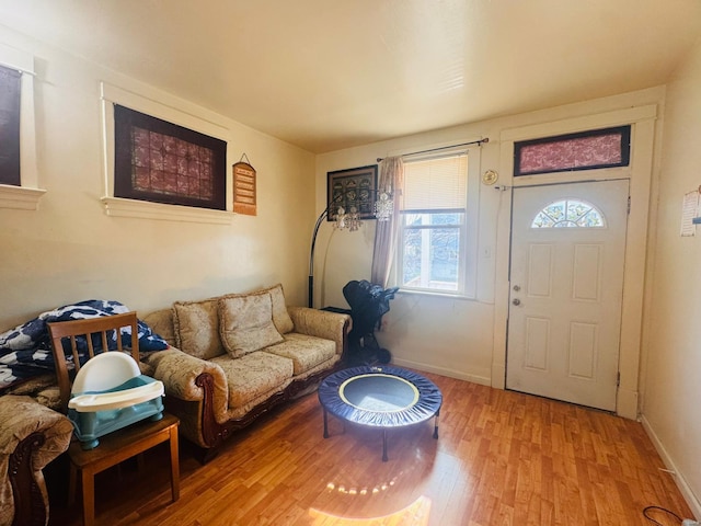 living room with light hardwood / wood-style flooring