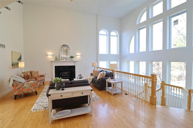 living room featuring light wood-type flooring, a towering ceiling, and a healthy amount of sunlight