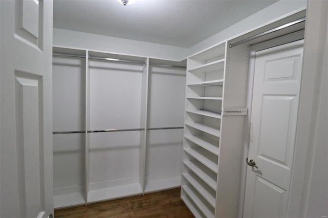 walk in closet with dark hardwood / wood-style flooring