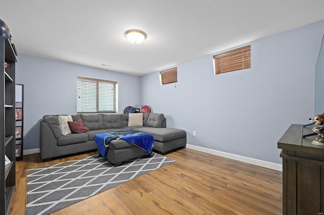 living room with wood-type flooring