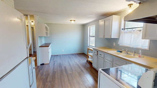 kitchen with wood-type flooring, white fridge, white cabinetry, and sink