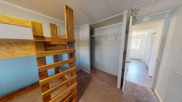 spacious closet featuring carpet flooring