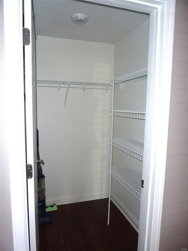 walk in closet with dark hardwood / wood-style floors