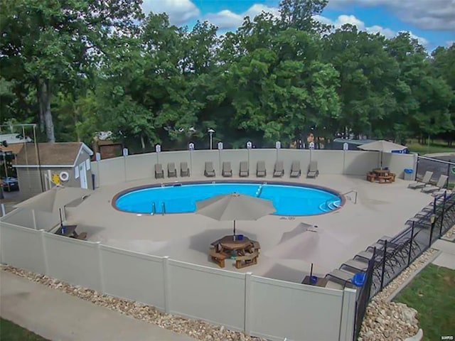 view of swimming pool with a patio area