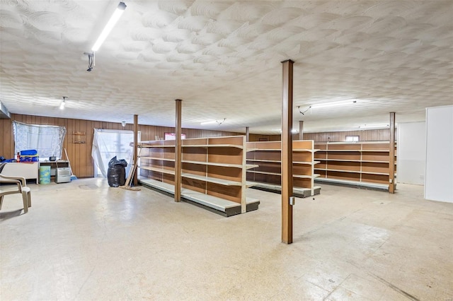 below grade area featuring wood walls