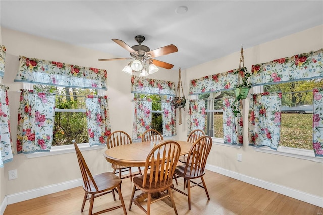 dining room with ceiling fan, light wood-type flooring, and a wealth of natural light