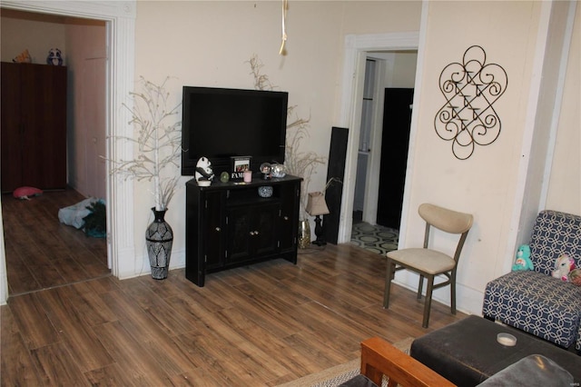 living room featuring dark hardwood / wood-style flooring