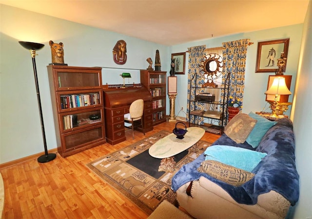 living room with wood-type flooring