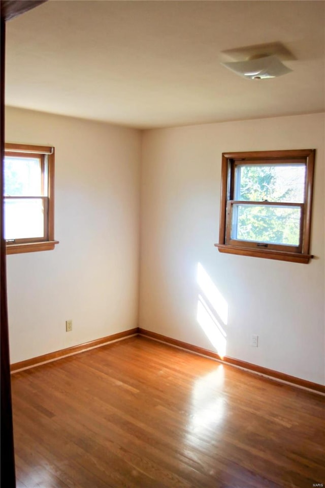 unfurnished room featuring wood-type flooring and a wealth of natural light