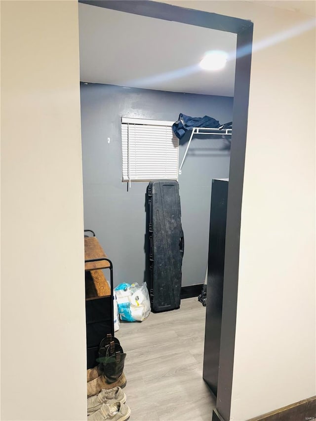 spacious closet with light wood-type flooring