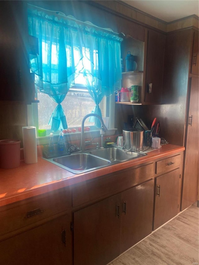 kitchen with wood-type flooring and sink