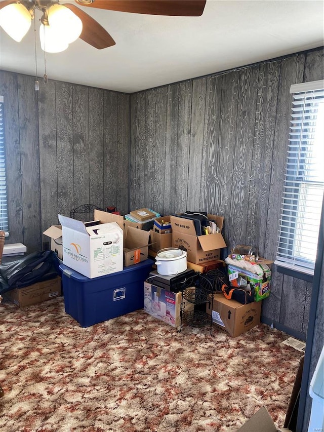 storage room with ceiling fan