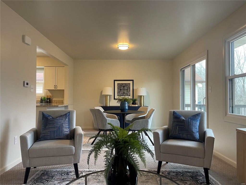 sitting room with carpet flooring