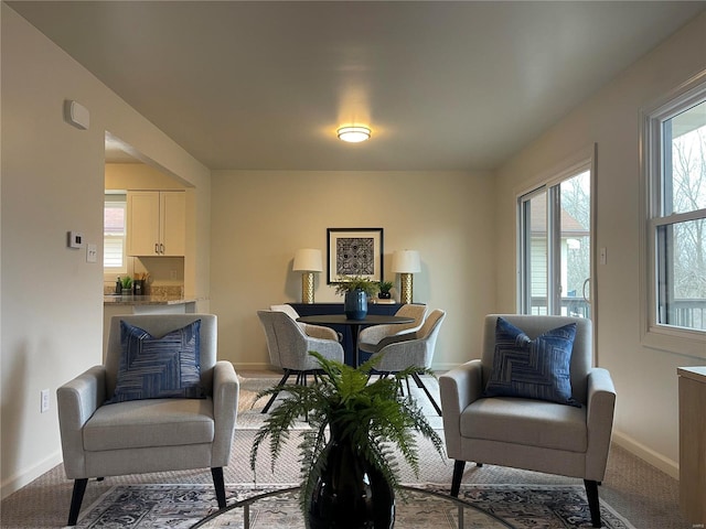 sitting room with carpet flooring