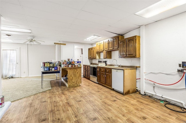 kitchen featuring ceiling fan, dishwasher, sink, range with electric stovetop, and light hardwood / wood-style floors