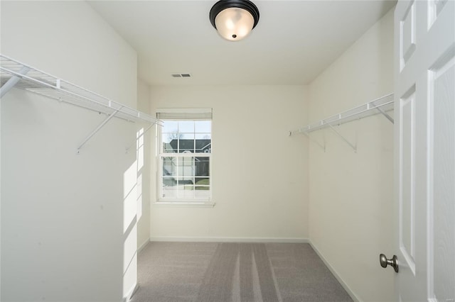 walk in closet with carpet flooring