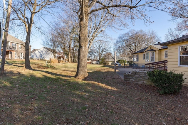 view of yard featuring a patio area