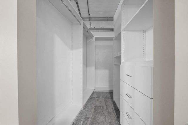 walk in closet with light colored carpet