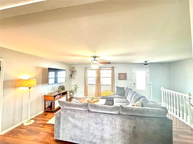 living room with ceiling fan and hardwood / wood-style flooring