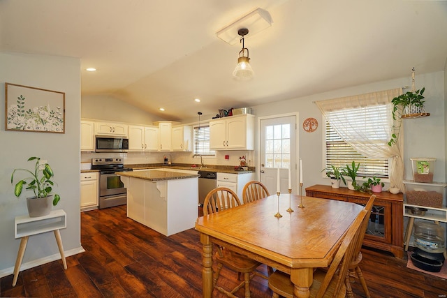 kitchen featuring a wealth of natural light, pendant lighting, stainless steel appliances, and vaulted ceiling