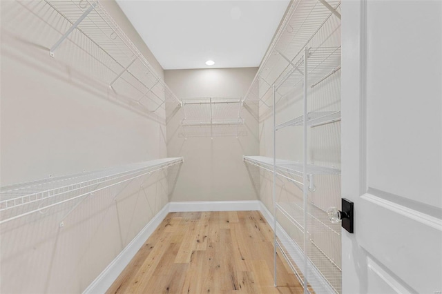 spacious closet featuring wood-type flooring