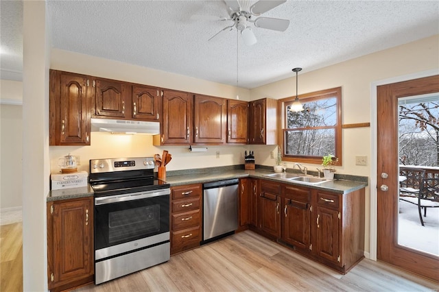 kitchen featuring sink, stainless steel appliances, a wealth of natural light, and light hardwood / wood-style flooring