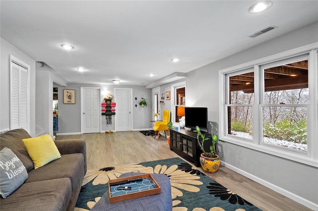 living room with hardwood / wood-style flooring