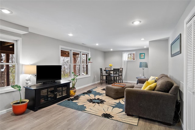 living room with hardwood / wood-style floors