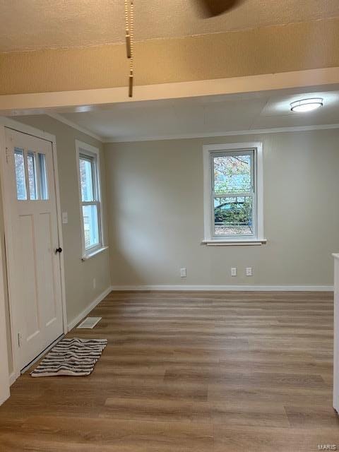 foyer featuring crown molding, hardwood / wood-style floors, and a healthy amount of sunlight