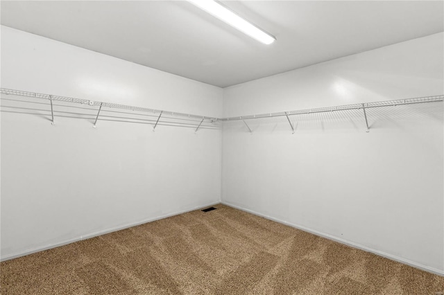 walk in closet featuring carpet flooring